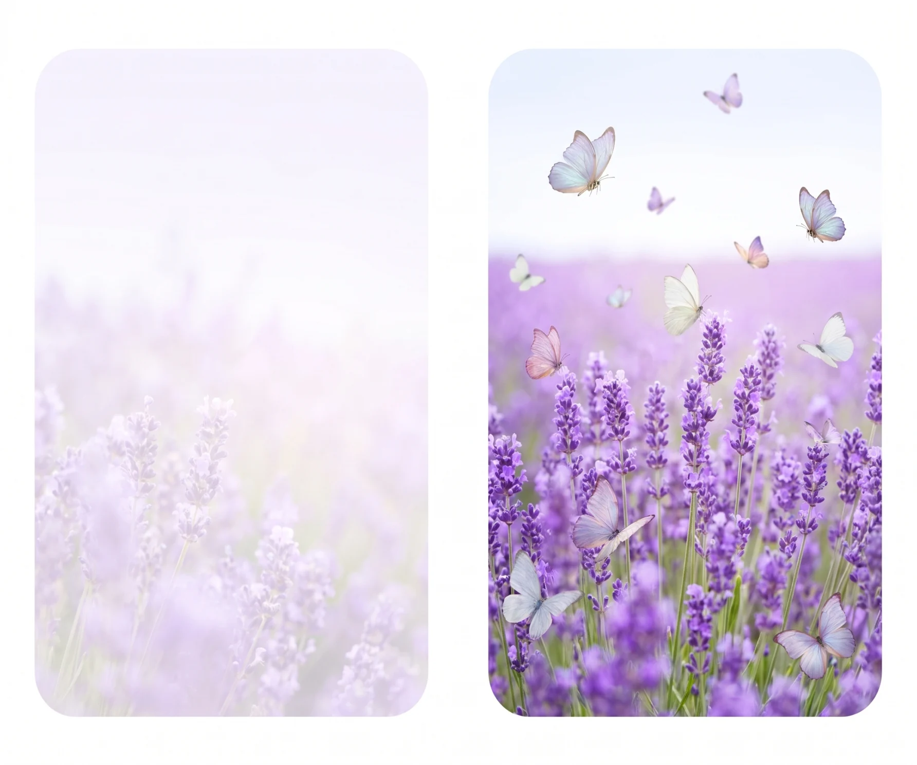 Lavender & Butterflies personalised memorial card design
